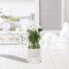 imageHoneyCanDo Glass Herb Preserver ClearWhite medium